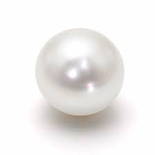 珍珠 Pearl