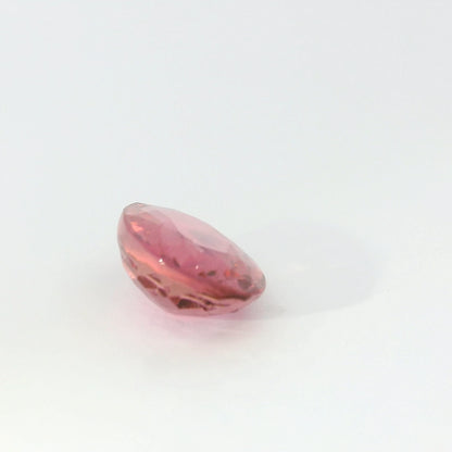 1.58卡粉紅碧璽 / 1.58ct Pink Tourmaline
