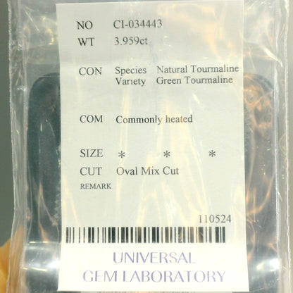 3.96卡綠碧璽 / 3.96ct Green Tourmaline
