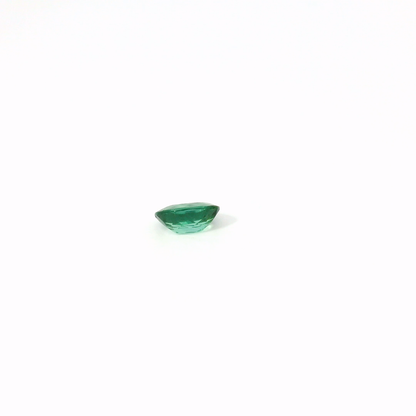 1.167卡綠色碧璽 / 1.167ct GREEN TOURMALINE Oval Cut
