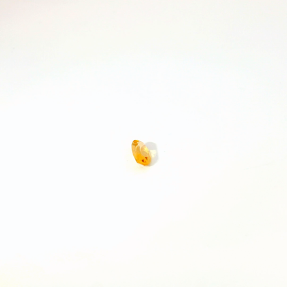 0.573卡帝王托帕石 / 0.573ct IMPERIAL TOPAZ Oval Cut Gold
