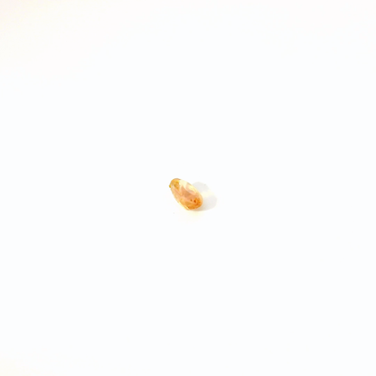 0.803卡帝王托帕石 / 0.803ct IMPERIAL TOPAZ Oval Cut Gold