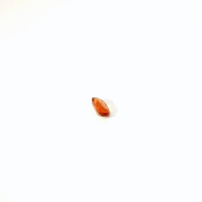 1.046卡帝王托帕石 / 1.046ct IMPERIAL TOPAZ Oval Cut Peach